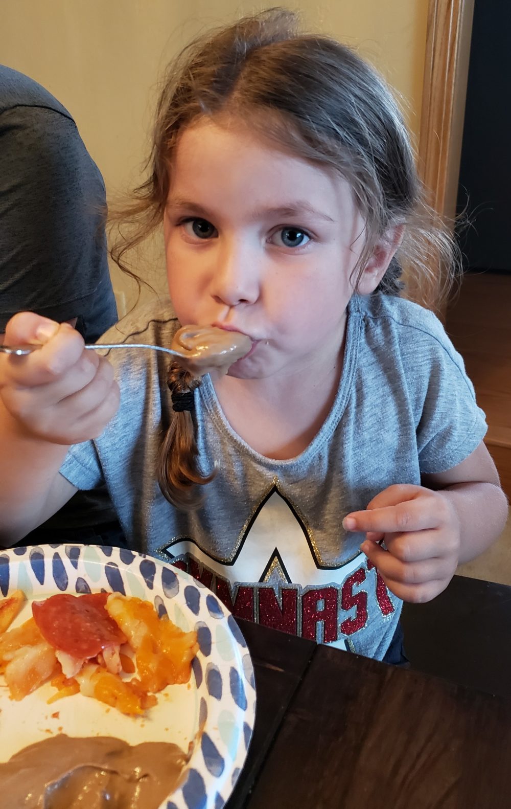 Ketovore Protein Pudding Shari's Low Carb Kitchen